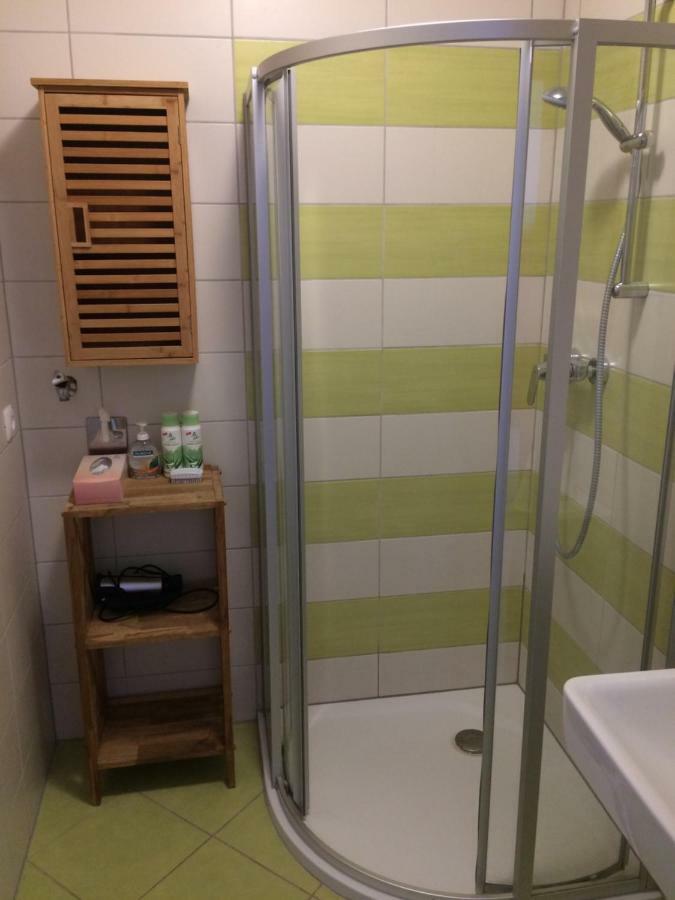 Ferienwohnung Frieser Steindorf am Ossiacher See Bagian luar foto