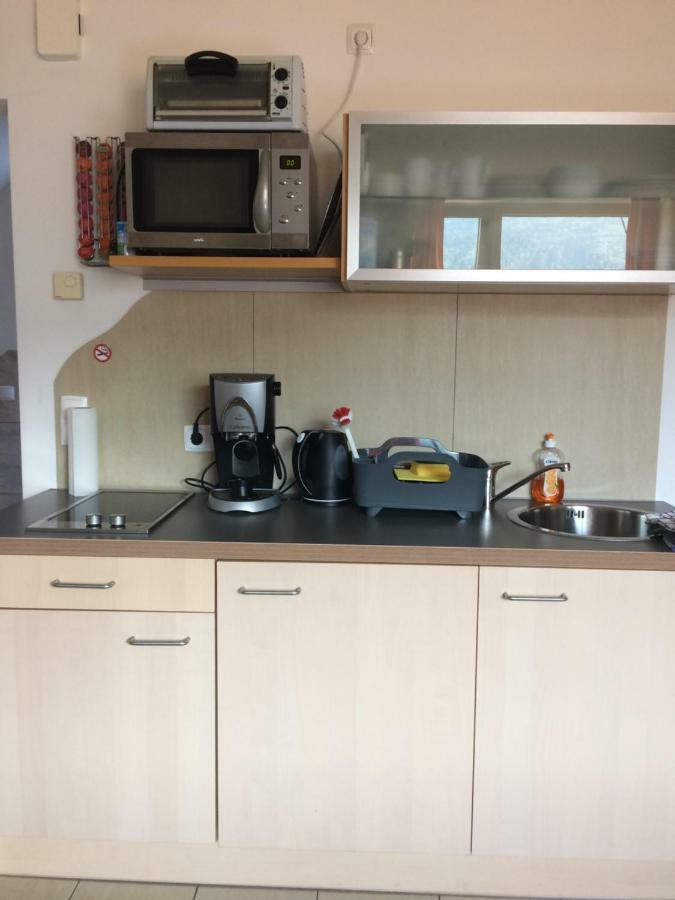 Ferienwohnung Frieser Steindorf am Ossiacher See Bagian luar foto